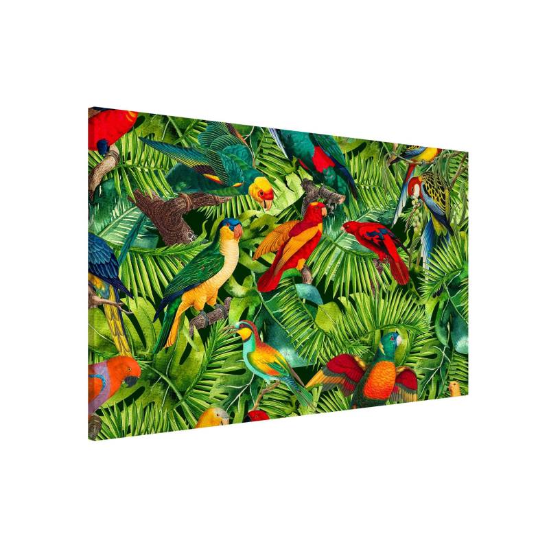Magnettafel Bunte Collage - Papageien im Dschungel