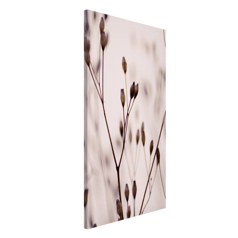 Magnettafel Dunkle Knospen am Wildblumenzweig