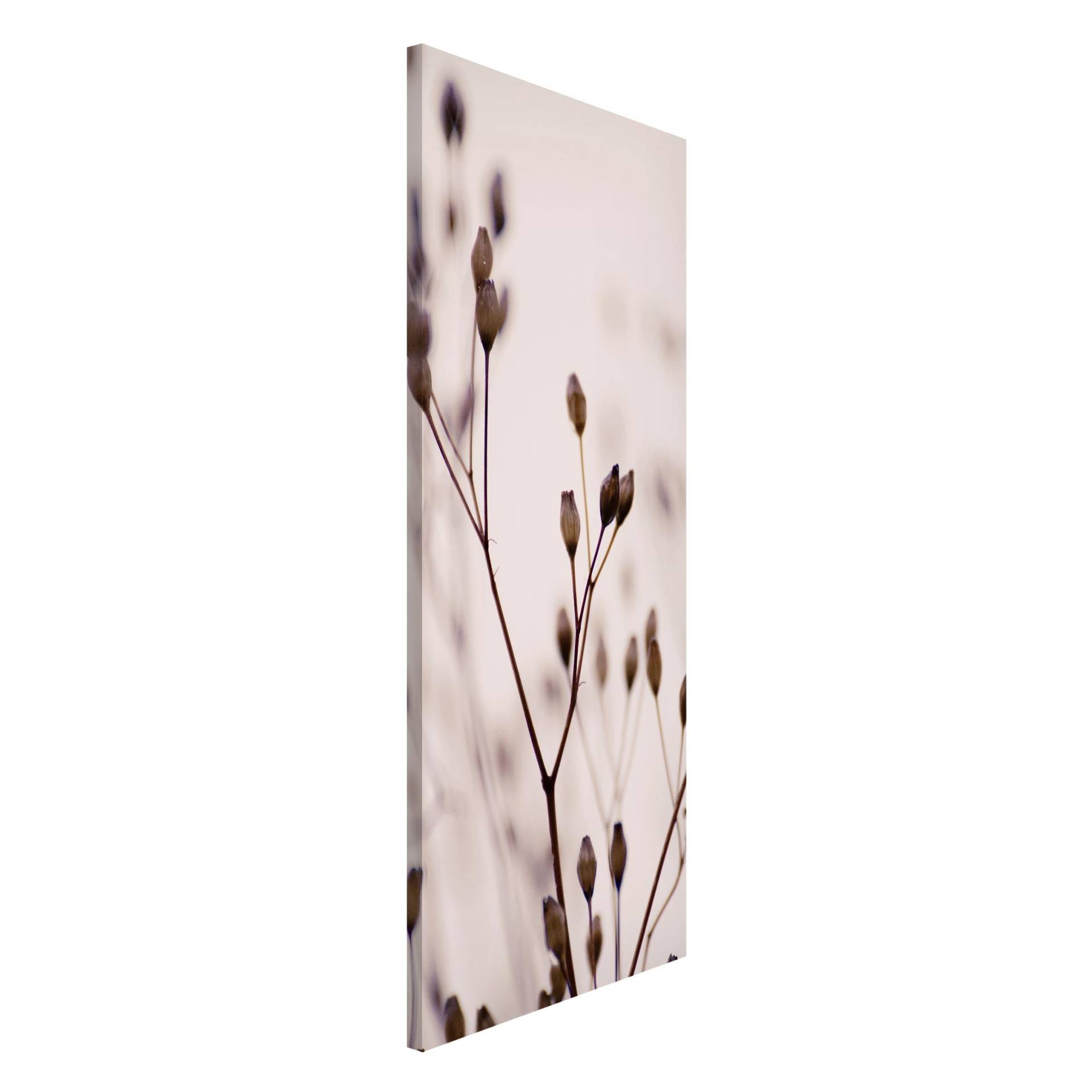 Magnettafel Dunkle Knospen am Wildblumenzweig
