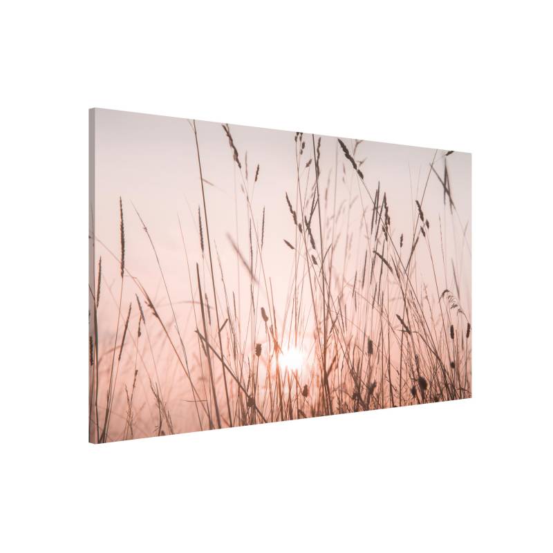 Magnettafel Ein traumhafter Sommerabend