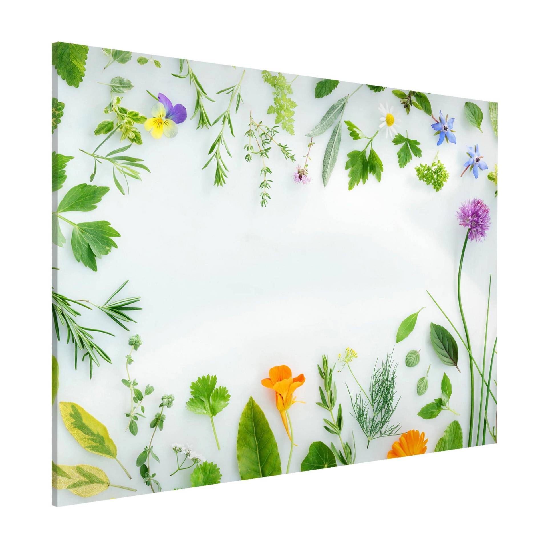 Magnettafel - Querformat 4:3 Kräuter und Blüten