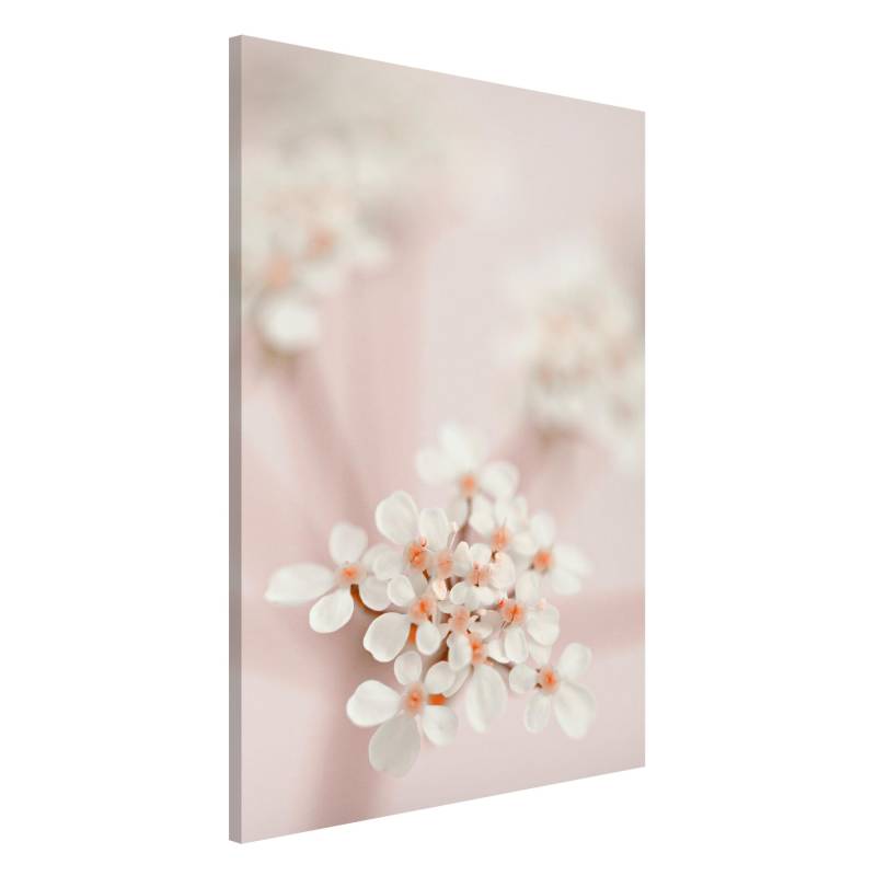 Magnettafel Miniblüten im Rosanen Licht
