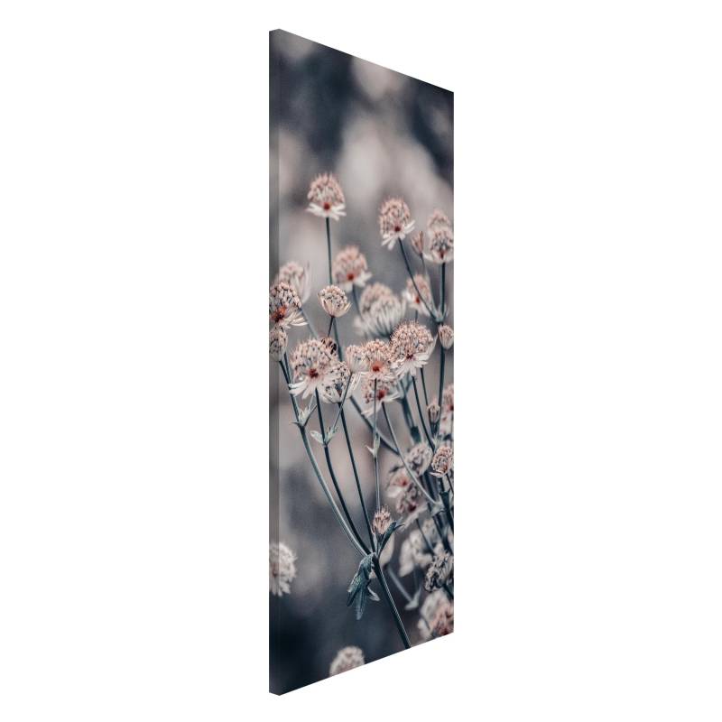 Magnettafel Mystischer Blütenstrauch