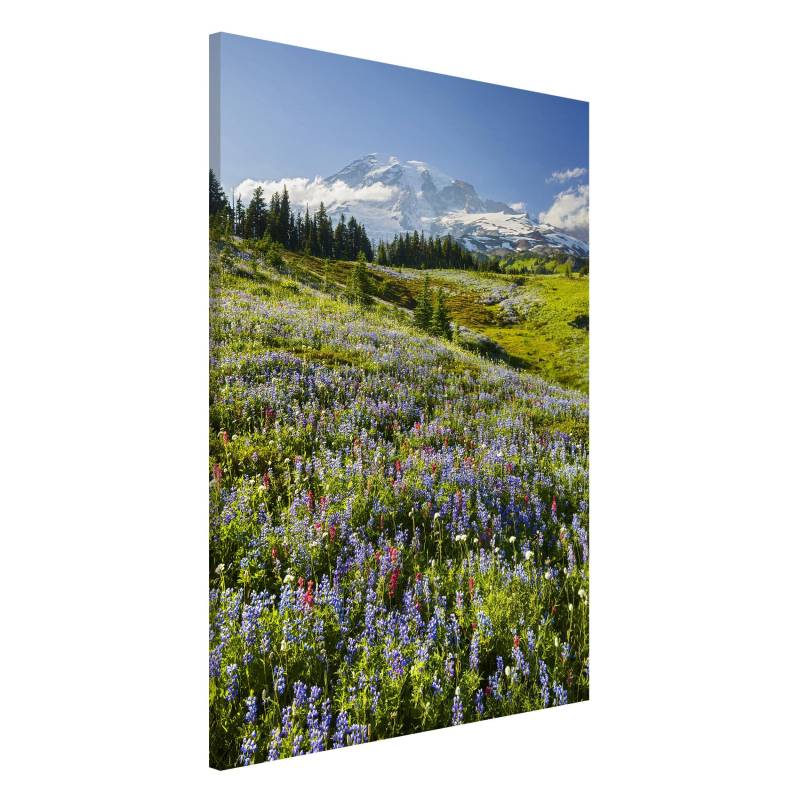 Magnettafel - Hochformat 2:3 Bergwiese mit roten Blumen vor Mt. Rainier