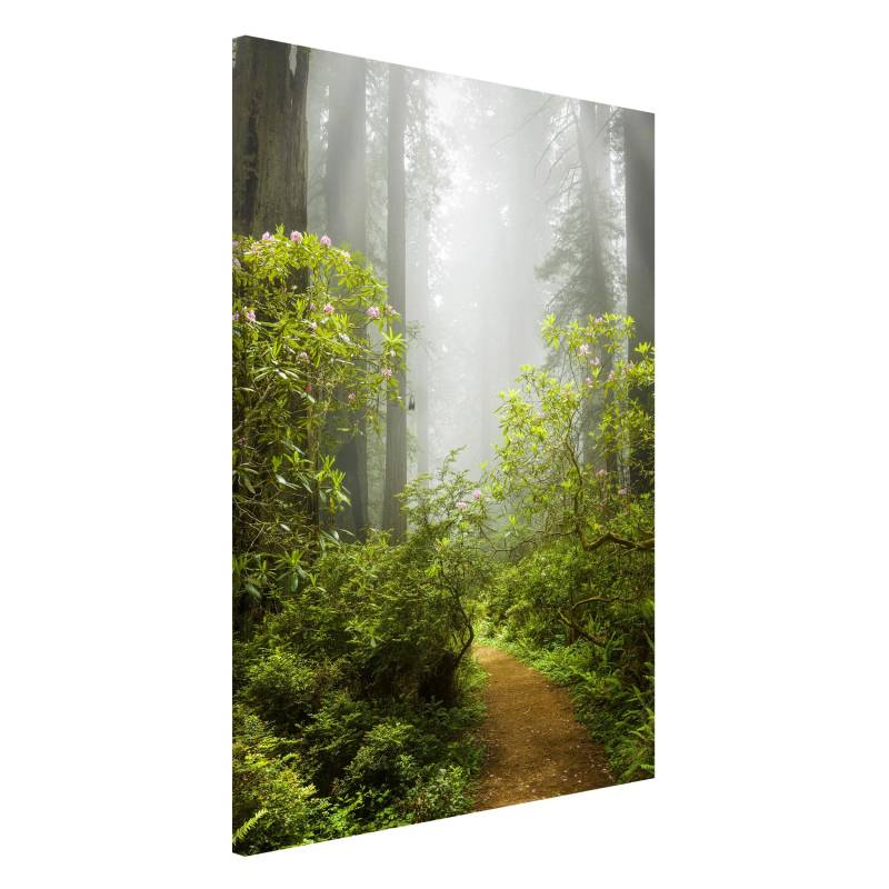 Magnettafel - Hochformat 3:4 Nebliger Waldpfad