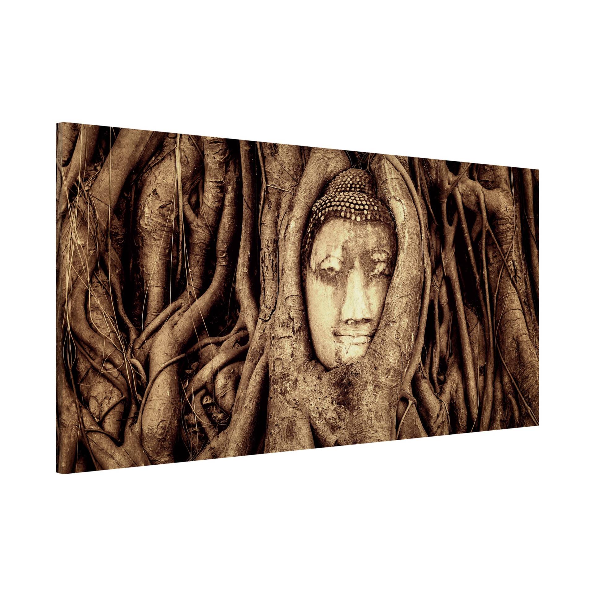 Magnettafel Natur & Landschaft - Querformat 2:1 Buddha in Ayutthaya von Baumwurzeln gesäumt in Braun