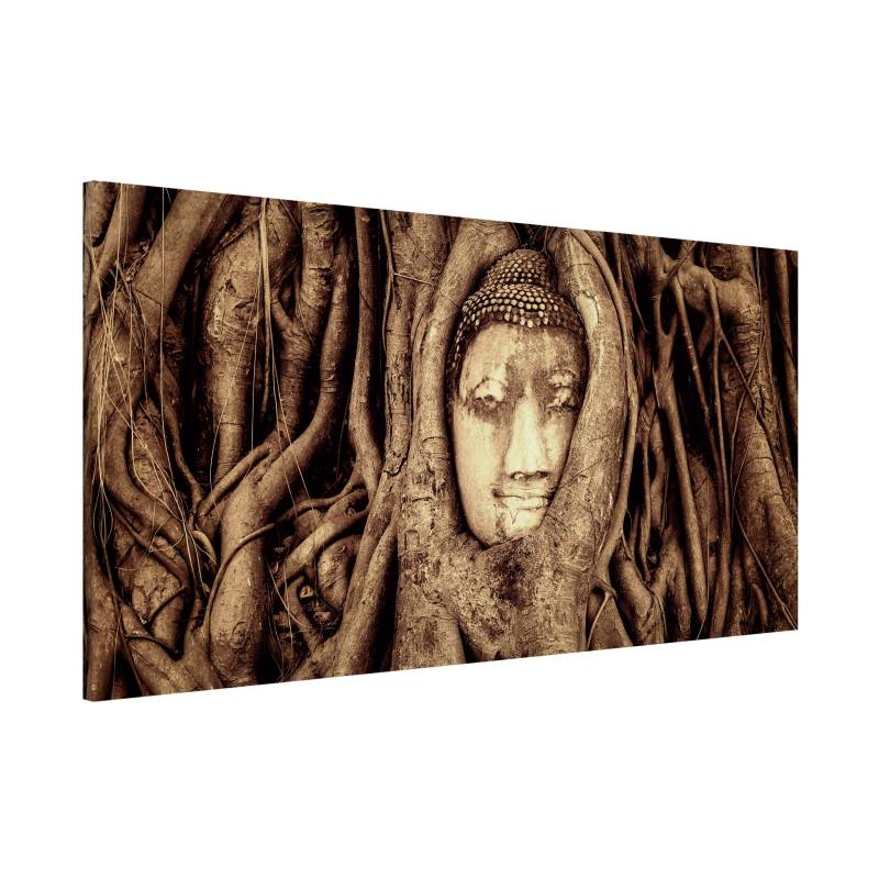 Magnettafel Natur & Landschaft - Querformat 2:1 Buddha in Ayutthaya von Baumwurzeln gesäumt in Braun