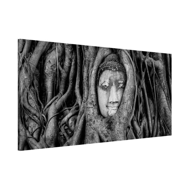 Magnettafel Natur & Landschaft - Querformat 2:1 Buddha in Ayutthaya von Baumwurzeln gesäumt in Schwarzweiß