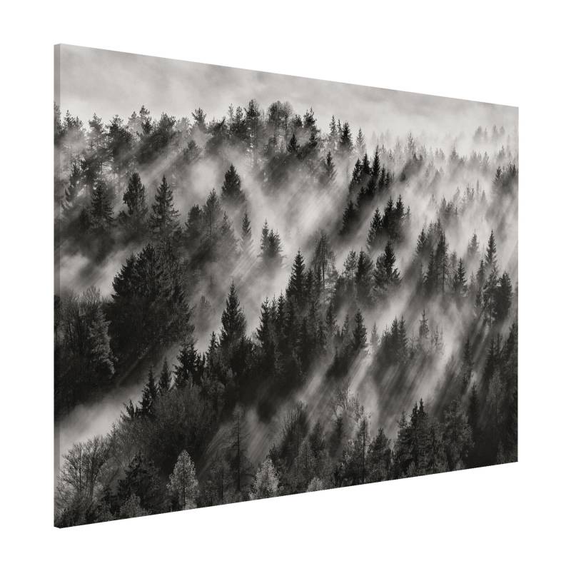 Magnettafel - Querformat 4:3 Lichtstrahlen im Nadelwald