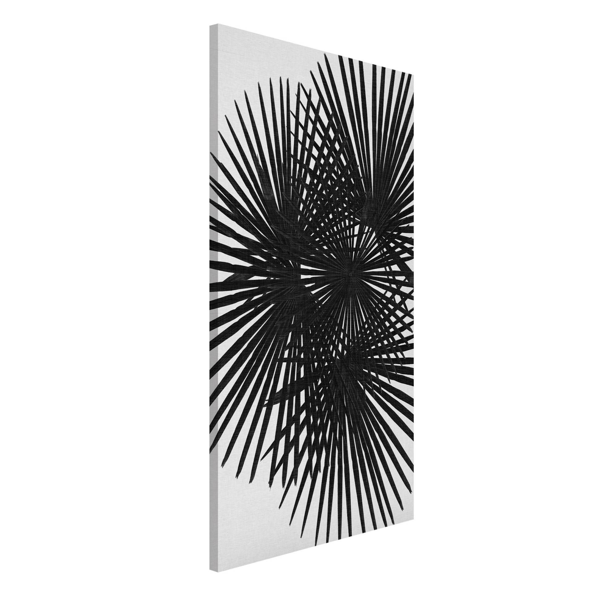 Magnettafel Palmenfarne in Schwarz-Weiß