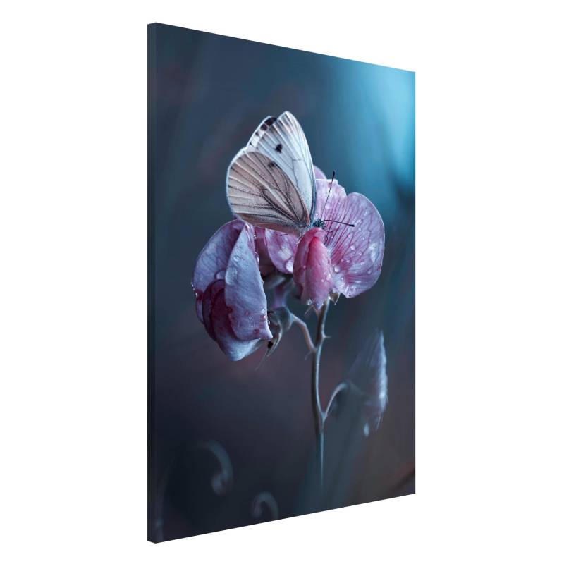 Magnettafel Schmetterling im Regen