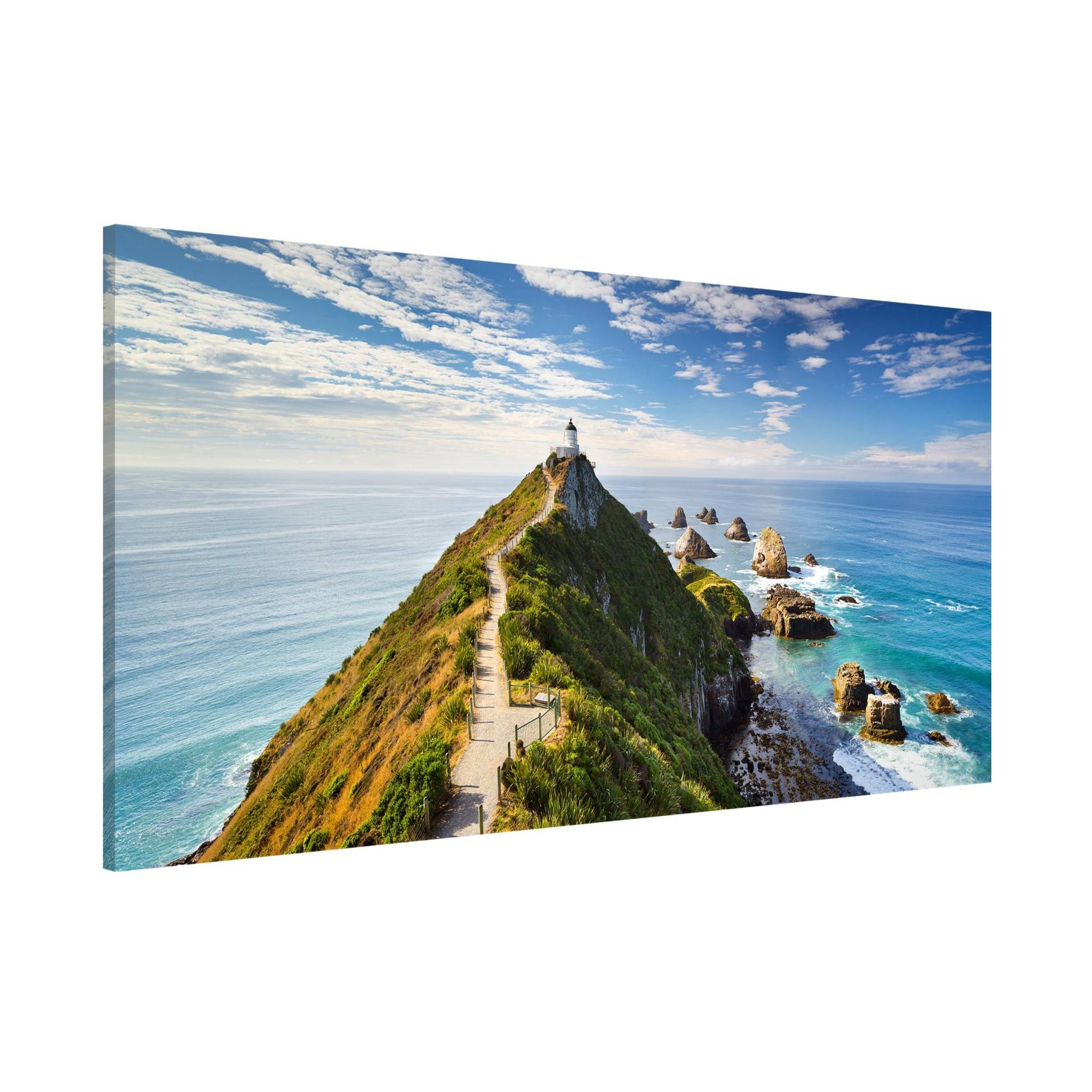 Magnettafel Strand - Querformat 2:1 Nugget Point Leuchtturm und Meer Magnettafel Strand - Querformat 2:1 Nugget Point Leuchtturm und Meer