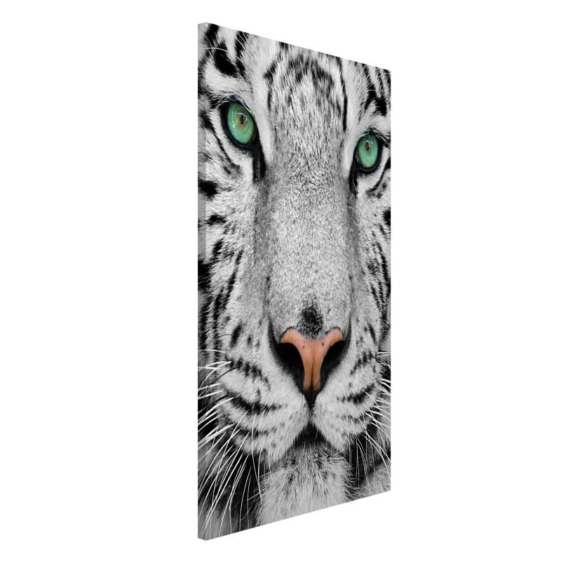Magnettafel - Hochformat 3:4 Weißer Tiger