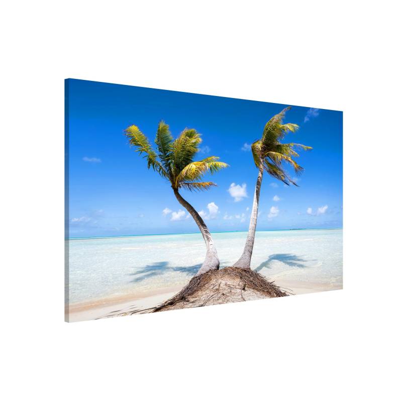 Magnettafel Urlaub unter Palmen