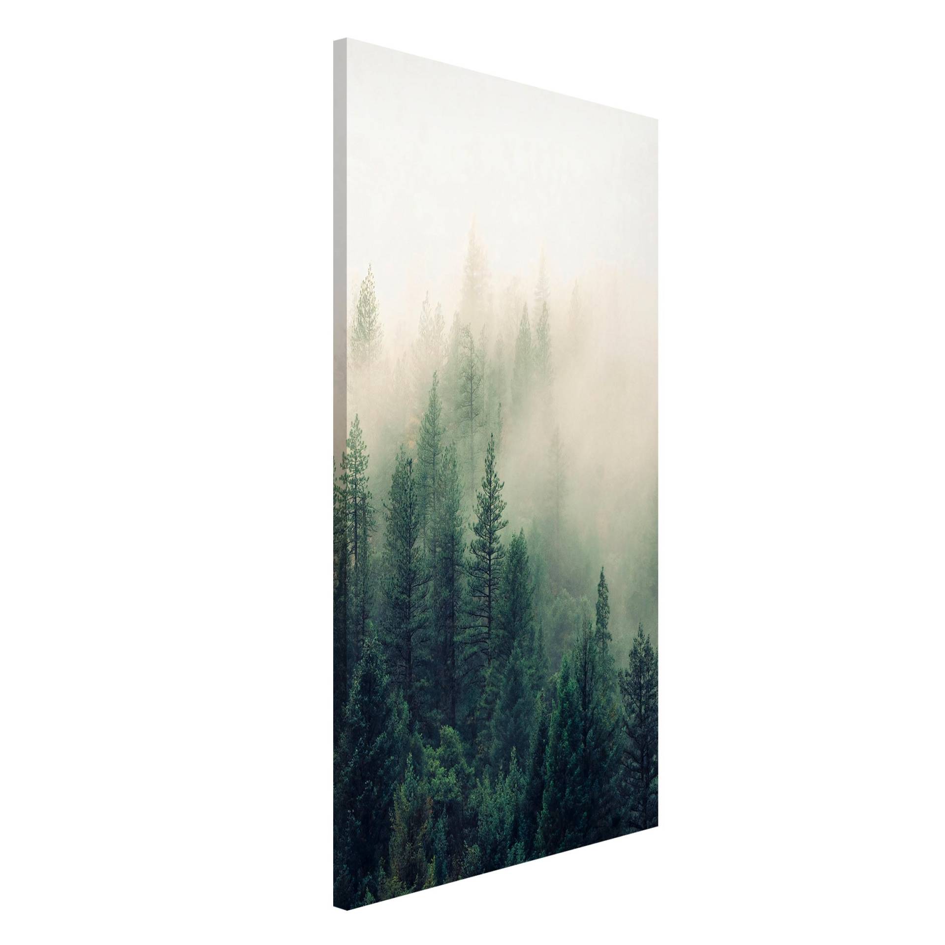 Magnettafel Wald im Nebel Erwachen