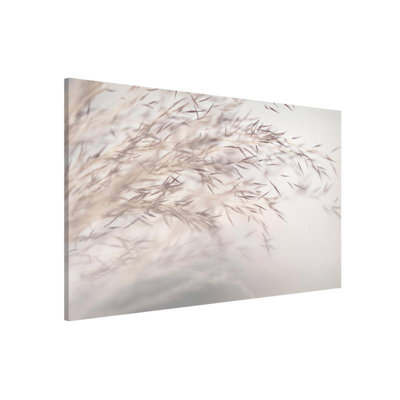 Magnettafel Wiesengras Close Up