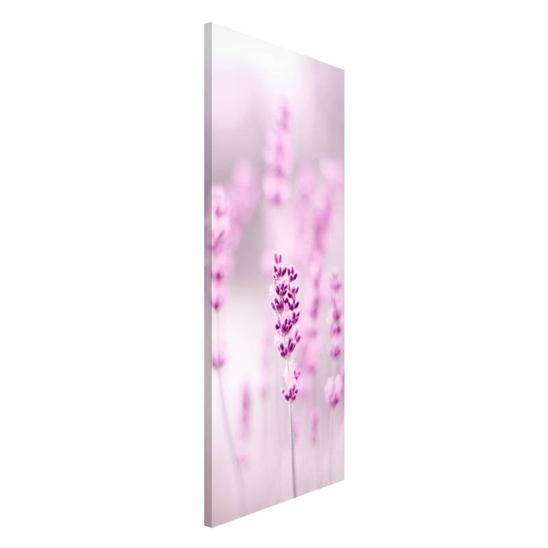 Magnettafel Zartvioletter Lavendel