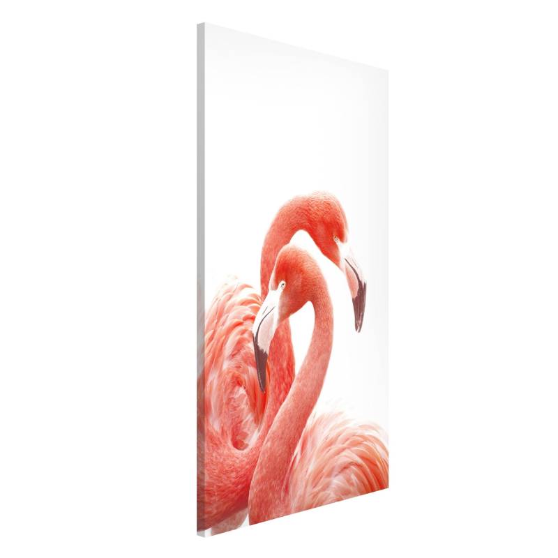 Magnettafel Zwei Flamingos