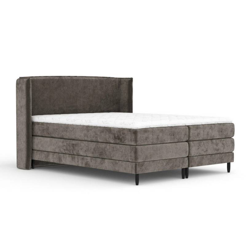 Maison de Reve BOXSPRINGBETT Dunkelbraun
