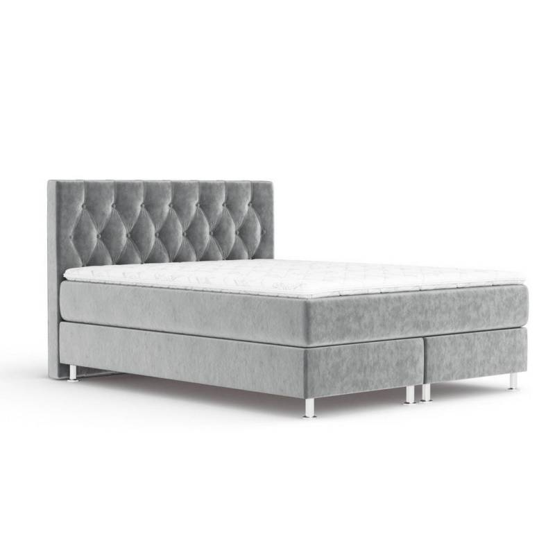 Maison de Reve BOXSPRINGBETT Grau