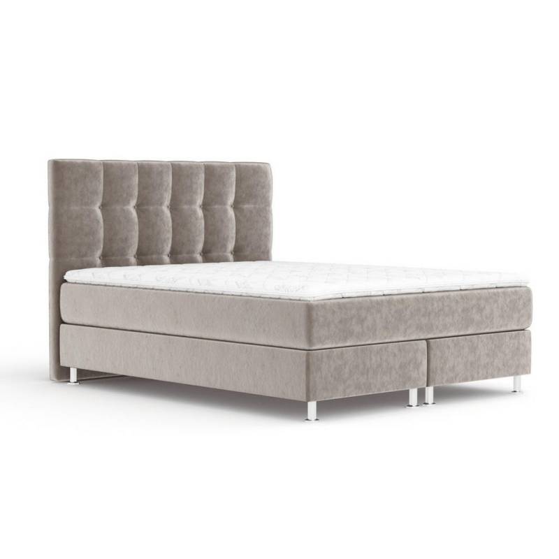 Maison de Reve BOXSPRINGBETT Taupe