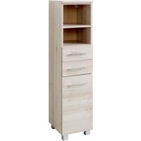 Midischrank 30 Portofino von Held Möbel Buche Iconic