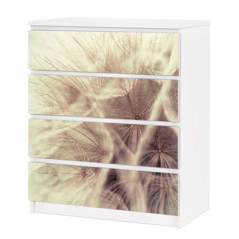 Möbelfolie für IKEA Malm Detailreiche Pusteblumen Makroaufnahme mit Vintage Blur Effekt
