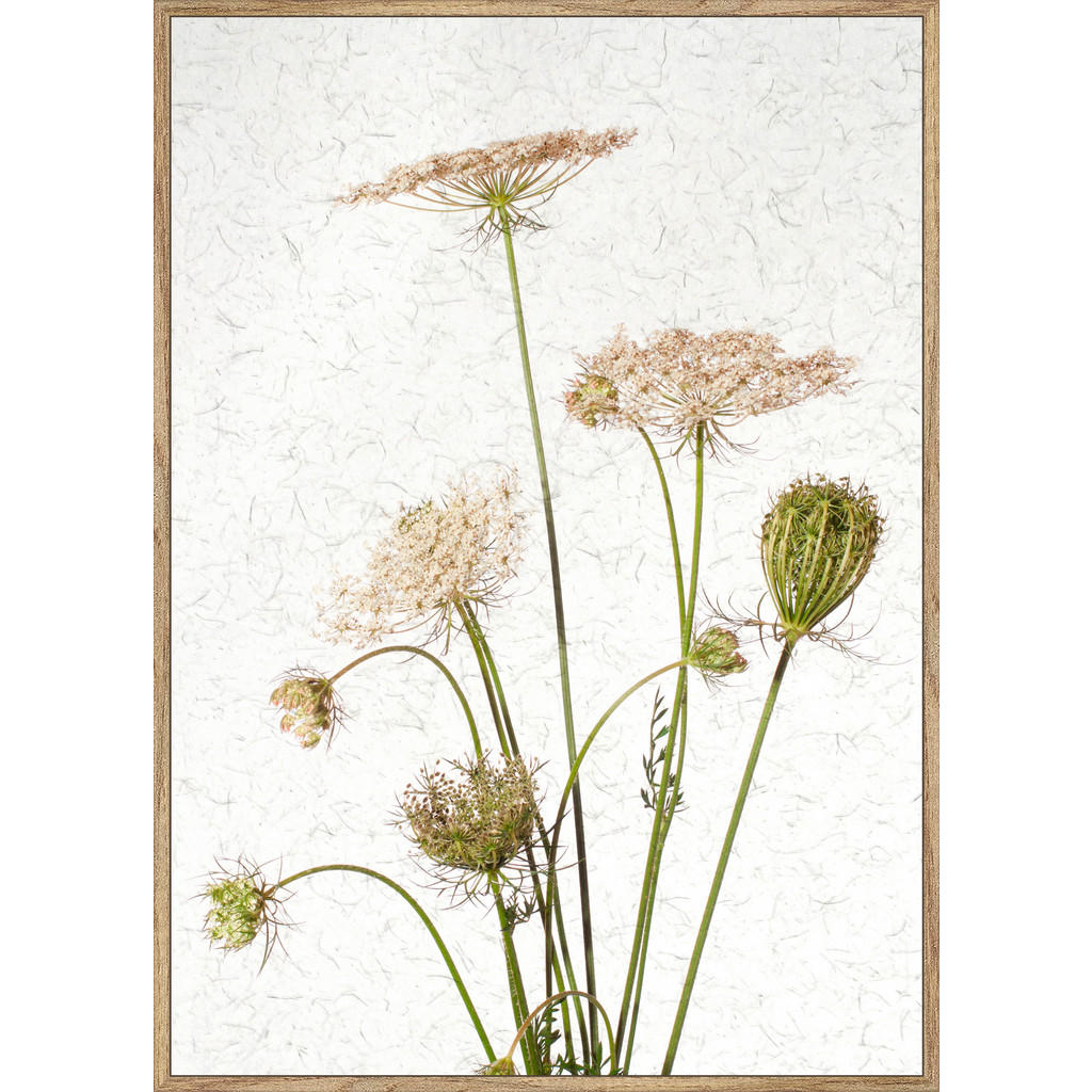 Monee Kunstdruck, Mehrfarbig, Holzwerkstoff, rechteckig, 50x70 cm, Made in Europe, einfache und schnelle Anbringung, gerahmt, pflegefrei – nicht gießen oder besprühen, Bilder und Zubehör, Wandbilder, Kunstdrucke Monee Kunstdruck, Mehrfarbig, Holzwerkstoff, rechteckig, 50x70 cm, Made in Europe, einfache und schnelle Anbringung, gerahmt, pflegefrei – nicht gießen oder besprühen, Bilder und Zubehör, Wandbilder, Kunstdrucke von Monee