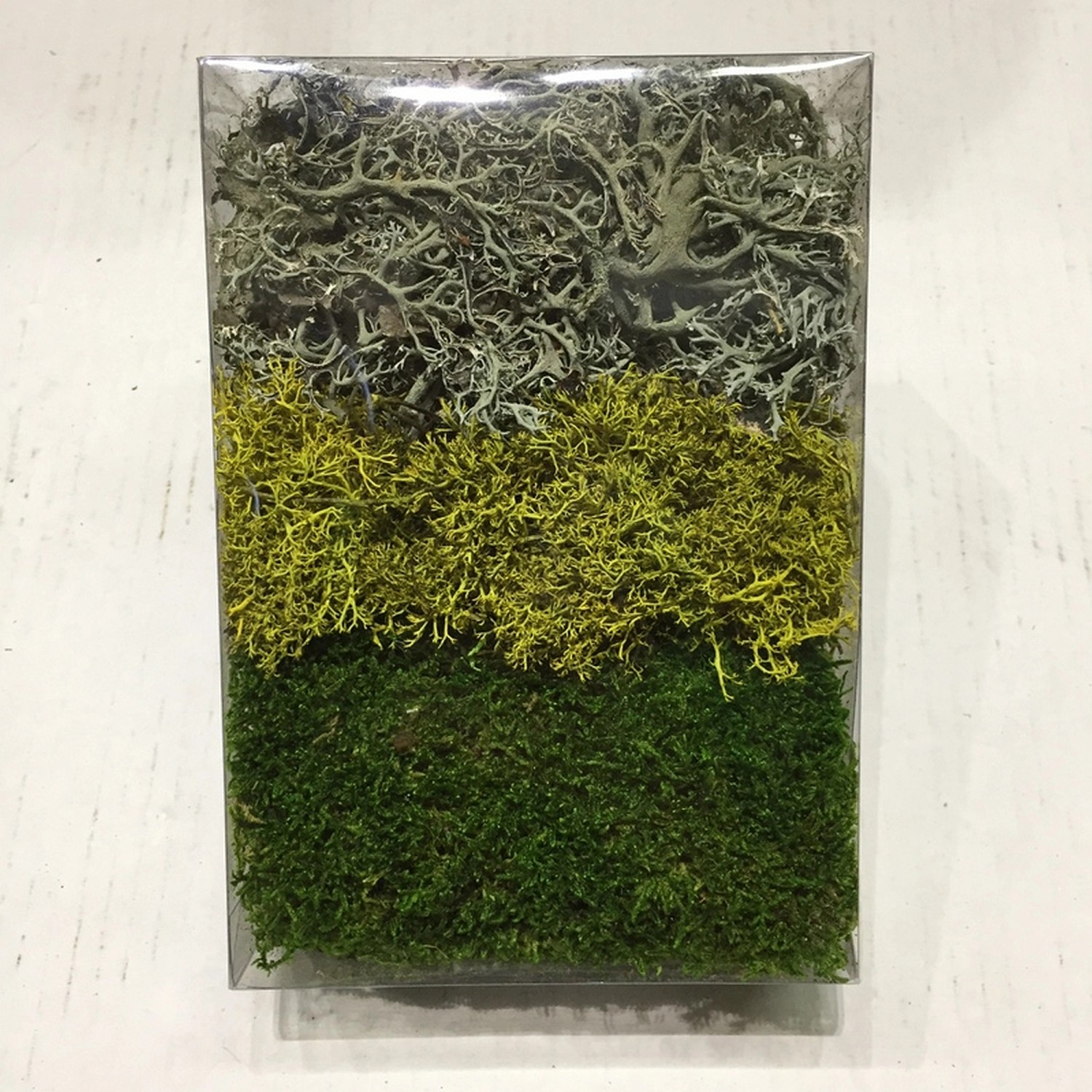 Moosmix Grün-Weiß