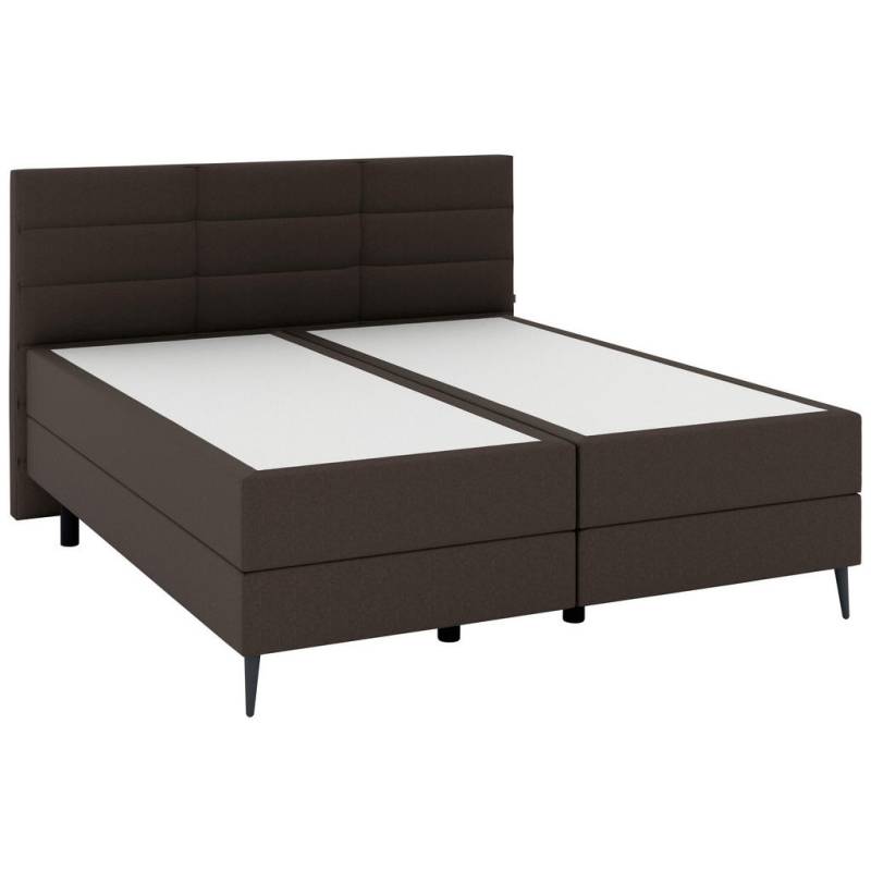 Musterring BOXSPRINGBETT Braun
