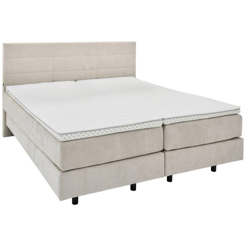 Musterring BOXSPRINGBETT Creme