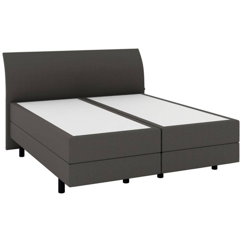 Musterring BOXSPRINGBETT Dunkelgrau