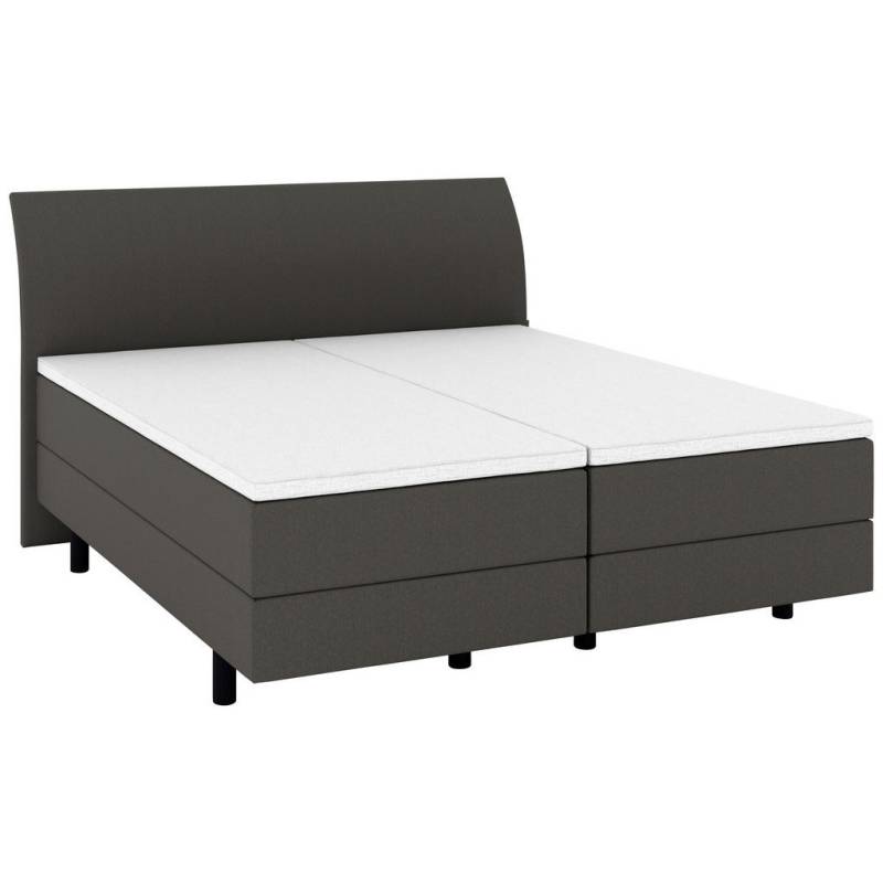 Musterring BOXSPRINGBETT Dunkelgrau