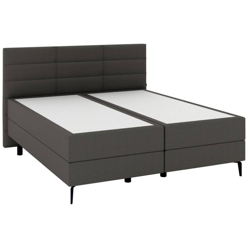 Musterring BOXSPRINGBETT Dunkelgrau