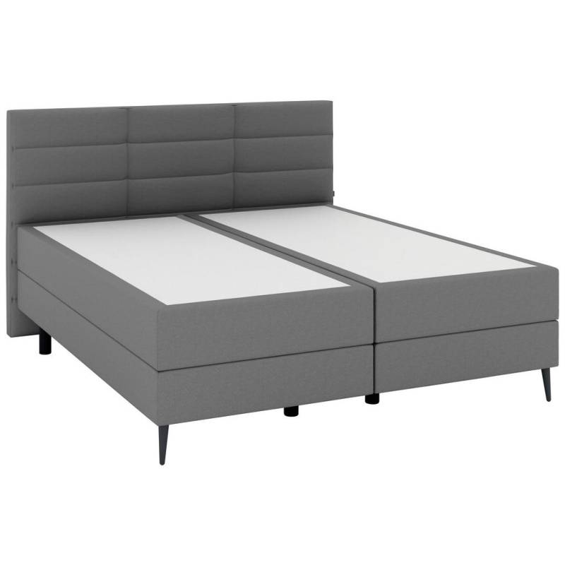 Musterring BOXSPRINGBETT Grau