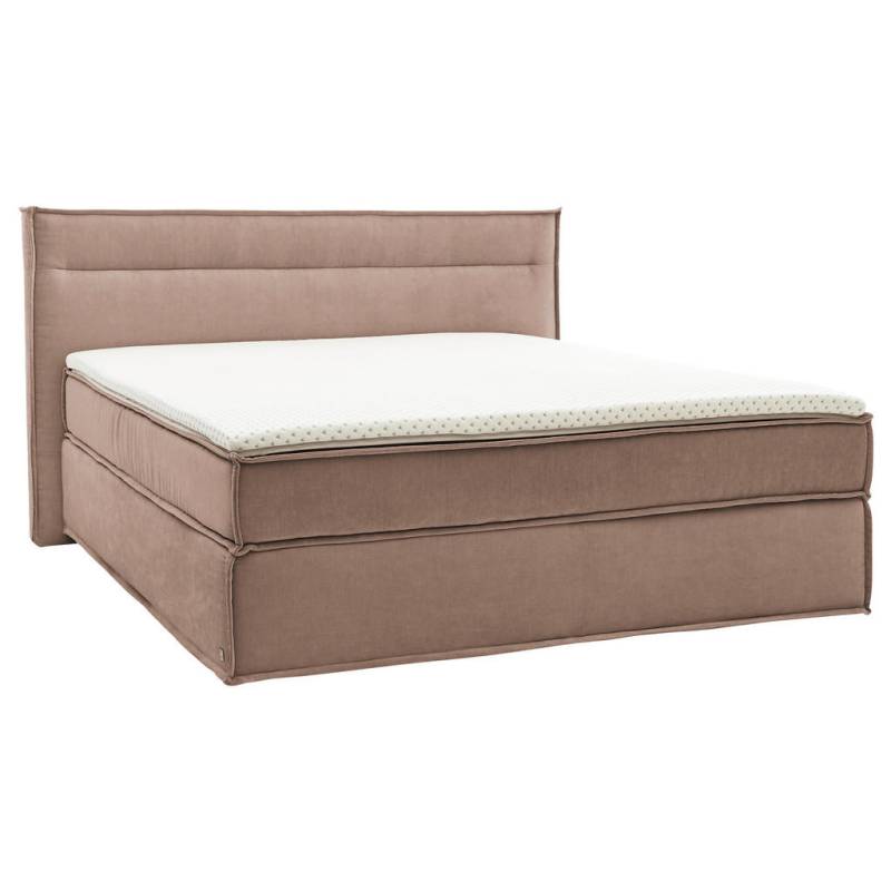 Musterring BOXSPRINGBETT Hellbraun