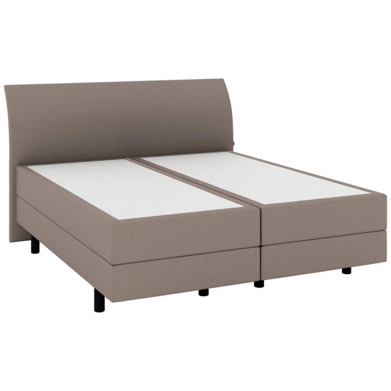 Musterring BOXSPRINGBETT Hellbraun
