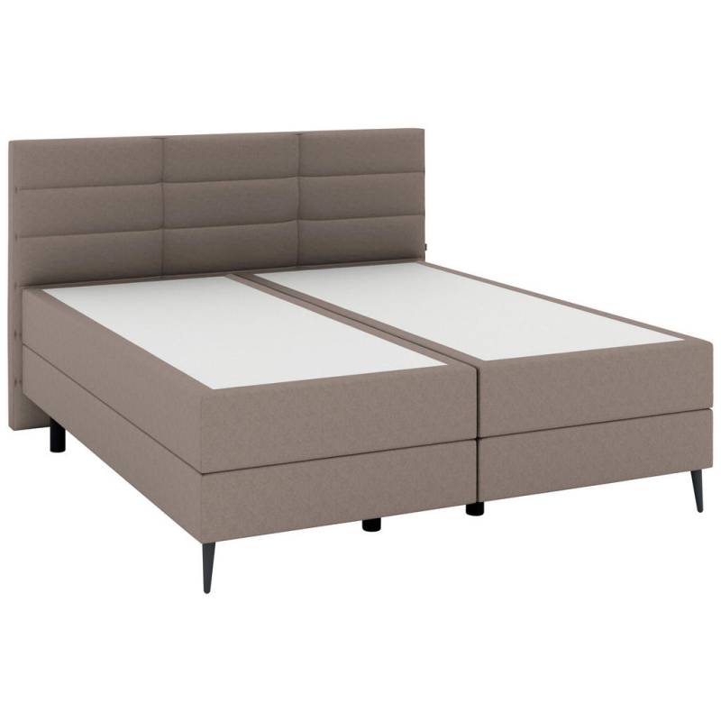 Musterring BOXSPRINGBETT Hellbraun