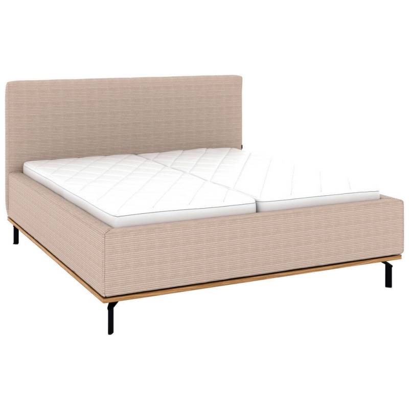 Musterring POLSTERBETT Taupe