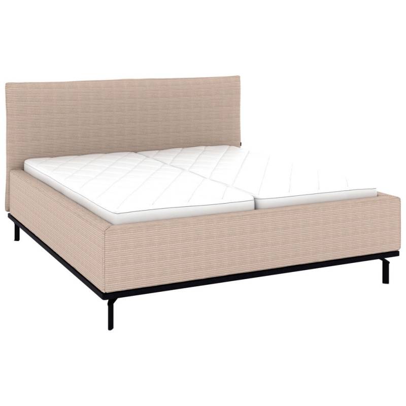 Musterring POLSTERBETT Taupe