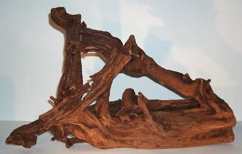 Orbit Mangroven-Wurzel Medium ca. 25 - 35 cm von SAHAWA