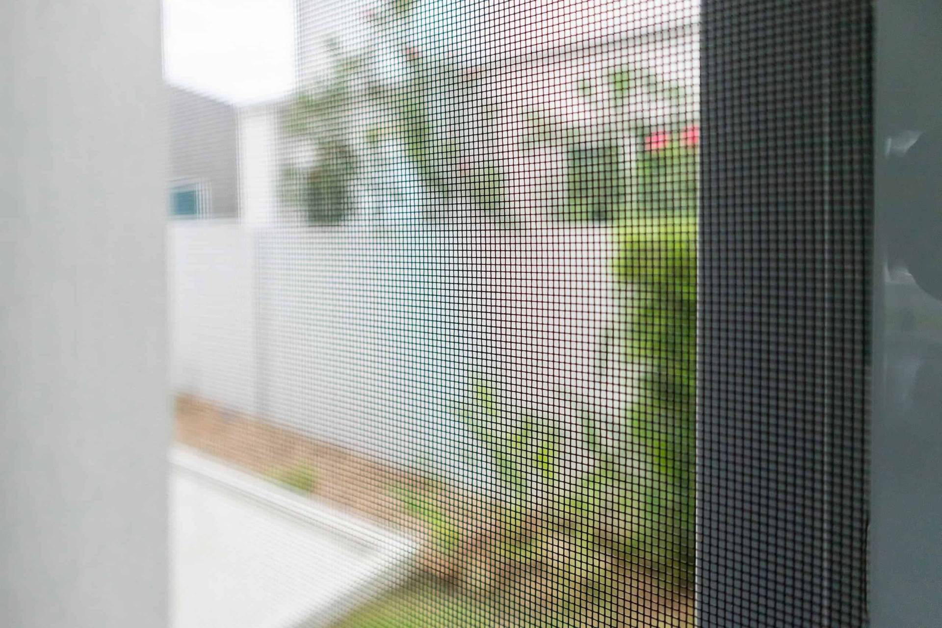 PLIJARO Insektenschutzrollo für Fenster und Türen auf Maß | bis zu 240cm Höhe und 200cm Breite möglich PLIJARO Insektenschutzrollo für Fenster und Türen auf Maß | bis zu 240cm Höhe und 200cm Breite möglich