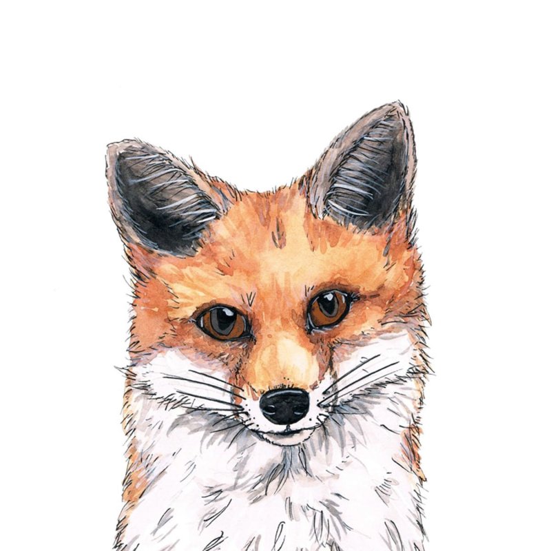 PPD - Servietten - Fox - 25 x 25cm - 20 Stück