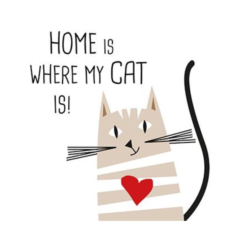 PPD - Servietten - Home Cat - 33 x 33 cm - 20 Stk