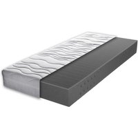 PRO-BODY-S-592 Matratze ca140x200cm von Breckle