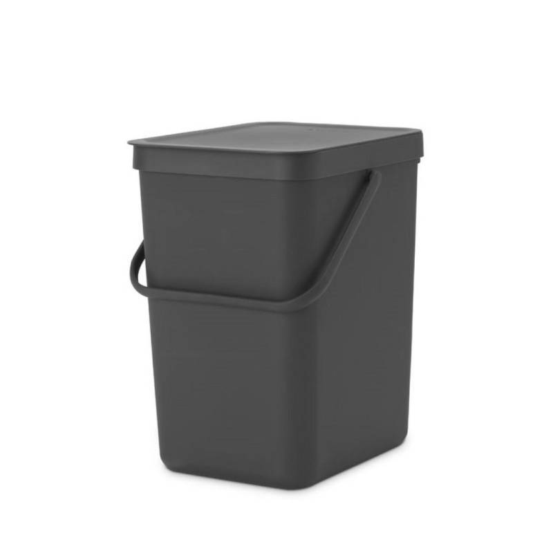 PROREGAL MÜLLEIMER Grau