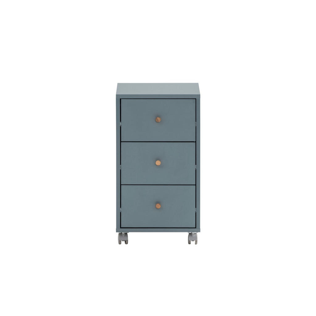 PROREGAL ROLLCONTAINER Blau