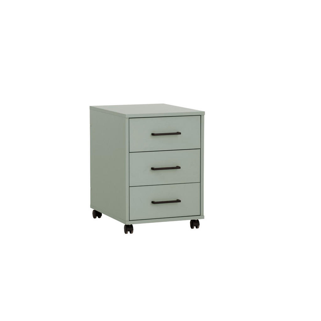 PROREGAL ROLLCONTAINER Grün