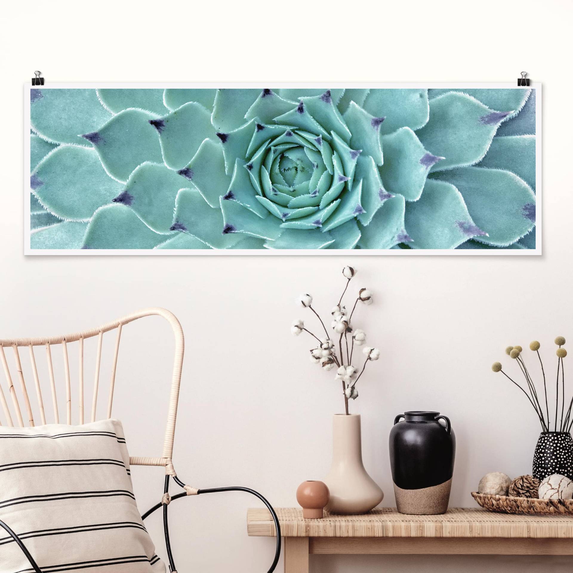 Panorama Poster Kaktus Agave