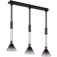 Pendelleuchte Rauchglas Metall Schwarz E27 95 cm lang von Trio